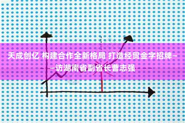 天成创亿 构建合作全新格局 打造经贸金字招牌——访湖南省副省长曹志强