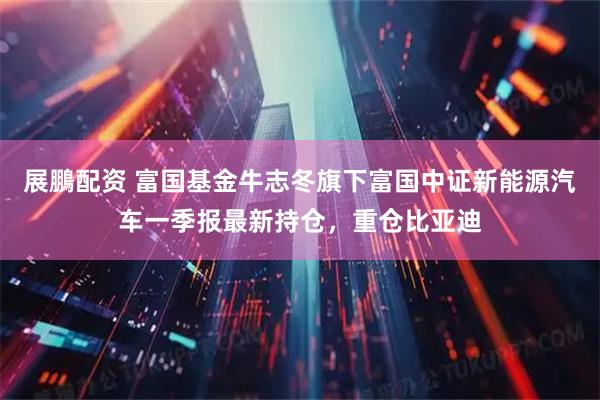 展鵬配资 富国基金牛志冬旗下富国中证新能源汽车一季报最新持仓，重仓比亚迪