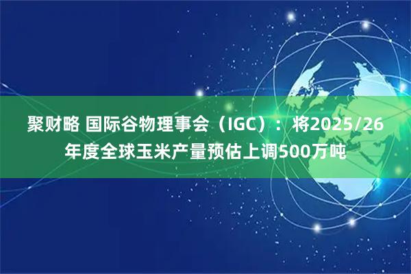 聚财略 国际谷物理事会（IGC）：将2025/26年度全球玉米产量预估上调500万吨