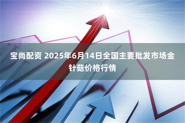 宝尚配资 2025年6月14日全国主要批发市场金针菇价格行情