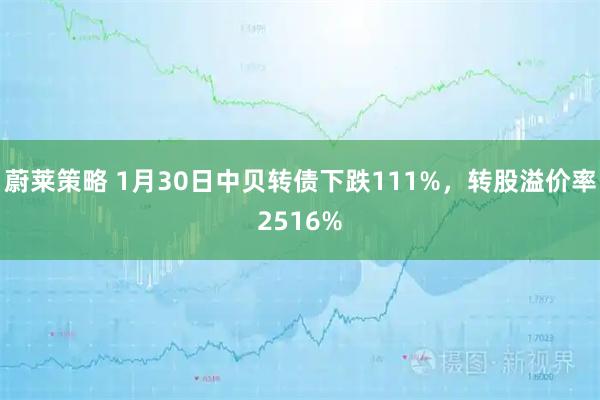 蔚莱策略 1月30日中贝转债下跌111%,转股溢价率2516%