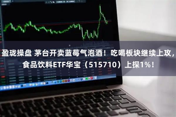 盈珑操盘 茅台开卖蓝莓气泡酒！吃喝板块继续上攻，食品饮料ETF华宝（515710）上探1%！