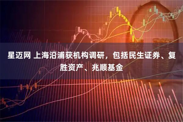 星迈网 上海沿浦获机构调研,包括民生证券、复胜资产、兆顺基金